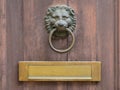Door knocker and letterbox Royalty Free Stock Photo