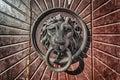 Door Knocker Lion Head