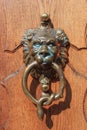 Door knocker - lion - snake