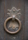 Door knocker