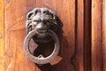 Door knockers lion on an old door Royalty Free Stock Photo