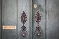 Door knockers, lock and a mailbox of an ancient green wooden door Royalty Free Stock Photo