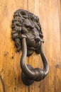 Door lion knocker