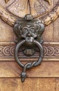 Door with lion and a snake,