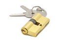 Door lock with two keys Royalty Free Stock Photo