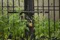 Door with lock and weeds growing around, abandoned place, Maharashtra, India