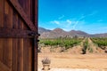 Door Opening to Vineyard in Baja California Royalty Free Stock Photo