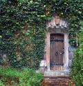 Door in a stone wall