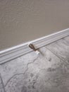 Door stop attached to trim on wall