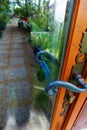 Tropical glass greenhouse entrance door Royalty Free Stock Photo