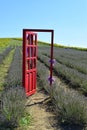 A door to the Lavender Field