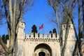 Door in Topkapi Palace, Istanbul, Turkey Royalty Free Stock Photo