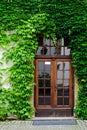 Door in wall covered by leafs. Old house concept Royalty Free Stock Photo