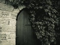 A door in the wall, hidden by thickets of plants. Gloomy photo of the door in dark shades. The weaving plants almost hid Royalty Free Stock Photo