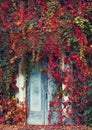 The Door with Wild grapes