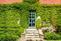 Door and windows on the ivy covered exterior wall of historic building Royalty Free Stock Photo