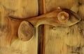 Door wooden handle in the shape of a fish on light wooden doors, close-up Royalty Free Stock Photo