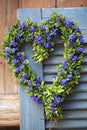 Door wreath in heart shape with boxwood and grape hyacinth flowers