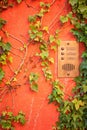 Doorbell panel on tendriled red wall Royalty Free Stock Photo