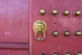 Doorknob with brass lion head of ancient Chinese red door of New Yuanming Palace, Zhuhai, China Royalty Free Stock Photo