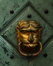 A doorknob in the form of a yellow lion head on a green wooden door. Royalty Free Stock Photo