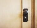 Doorknob with keyhole on wooden door Home Interior detail