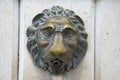 Doorknob - metallic lion of venice, italy