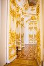 The doors of one of halls of a museum complex the Hermitage decorated with a gold stucco molding