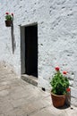 Doorway with bright flowers