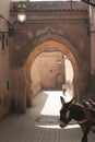 Doorway of Marakesh with donke Royalty Free Stock Photo