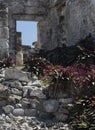 Doorway through ruins at Tulum, Mexico