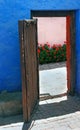 Doorway with bright flowers