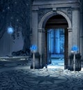 Doorway to the elf palace