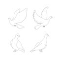 Dove sketch outline monochrome sketches set art design elements stock vector illustration