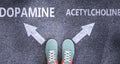 Dopamine and acetylcholine as different choices in life - pictured as words Dopamine, acetylcholine on a road to symbolize making