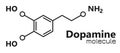 Dopamine molecule, chemical formula