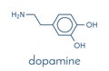 Dopamine neurotransmitter molecule. Also used as drug. Skeletal formula.