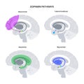 Dopamine pathway concept