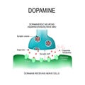 Dopamine. two neurons with receptors, and synaptic cleft with d