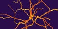 Dopaminergic neuron, computer reconstruction Royalty Free Stock Photo