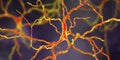 Dopaminergic neuron, computer reconstruction Royalty Free Stock Photo