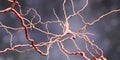 Dopaminergic neuron. Degeneration of this brain cells are responsible for development of Parkinson`s disease Royalty Free Stock Photo