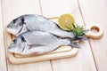 Dorada fish Royalty Free Stock Photo