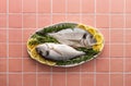 Dorada fish on a pink background