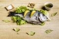 Dorada fresh fish on lettuce leaves next to some bay leaves, some pieces of lemon, a bowl of oil and some spices on a wooden table Royalty Free Stock Photo