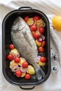Dorade Fish with potatoes and vegetables prepared in a casserole dish for grilling Royalty Free Stock Photo