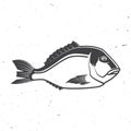 Dorade icon silhouette. Vector illustration. Vintage monochrome dorade on white background. Fish. For seafood emblem