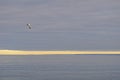 Doradillo beach in Puerto Madryn, Chubut Royalty Free Stock Photo