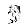 Dorado Dolphinfish or Mahi-mahi Jumping Up Retro Black and White Royalty Free Stock Photo