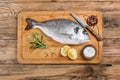 Dorado fish and condiments; above view. Royalty Free Stock Photo